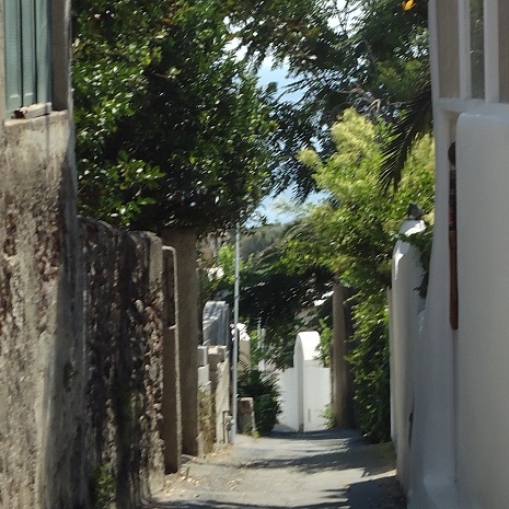 DSC05930 (2)