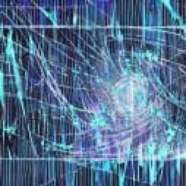 gli organi interni sono strettamente connessi attraverso il sistema nervoso